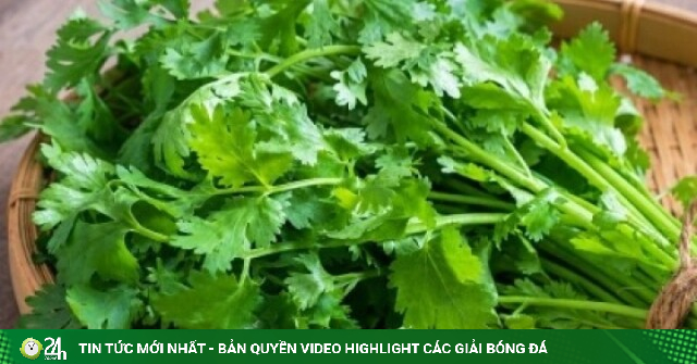 Rau mui Bi quyet song